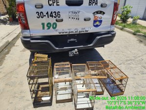 Polícia Militar resgata mais de 100 aves silvestres em operação no litoral Sul