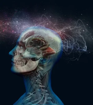 “Vídeo do peixinho” para controlar a ansiedade viraliza na web: veja