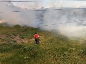 Bombeiros controlam incêndio em área de vegetação em Arapiraca