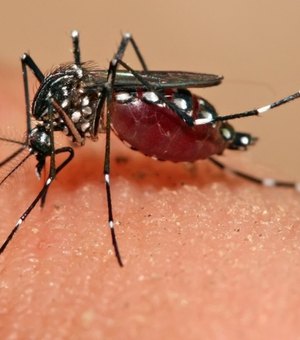 Zika pode provocar distúrbio no fundo do olho das crianças, mostra pesquisa