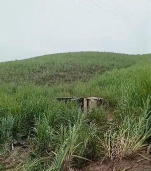 Caminhão coletor de lixo tomba às margens da rodovia AL-105 em Porto Calvo