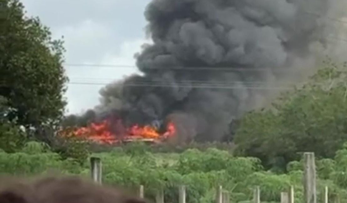 Incêndio atinge galpão de avícola, em Arapiraca