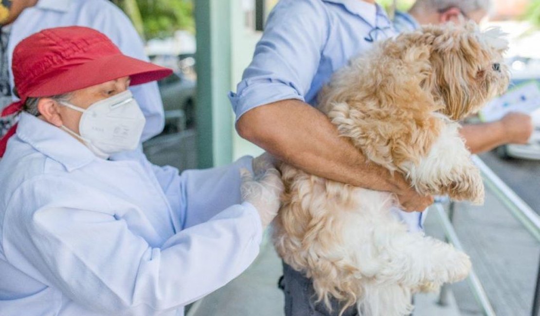 Prefeitura de Maceió criou secretaria para cuidar do Bem-Estar Animal