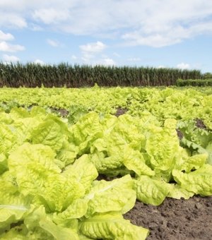 PAA Estadual tem orçamento de R$ 15 mi para compra de produtos da agricultura familiar