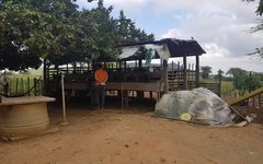 Em Girau do Ponciano, Programa de Assistência Técnica e Capacitação Rural é referência para Alagoas