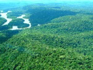 Justiça suspende atos que extinguem reserva de mineração na Amazônia