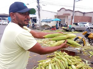 [Vídeo] Procura pelo milho verde aumenta em Arapiraca na véspera de São João