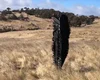 Lixo espacial cai em fazenda australiana