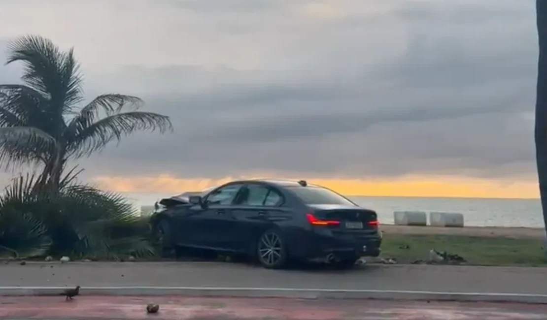 Motorista perde controle de BMW e derruba coqueiro na orla de Jatiúca, em Maceió