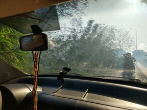 Incêndio provoca queda de bambu e prejudica trânsito em Porto Calvo