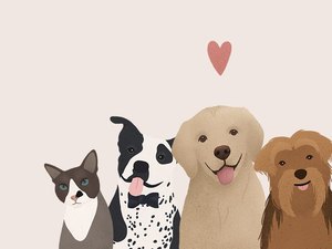 Confira os pets que estão prontos em Maceió para a adoção responsável