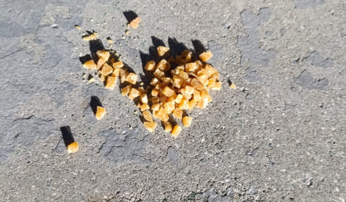 Guarda Municipal apreende 85 pedras de crack durante ação na Ponta Verde