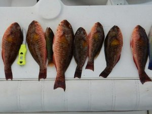 IMA intensifica fiscalização e apreende equipamentos de pesca na Piscina do Amor