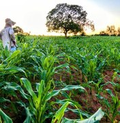 Governador encaminha à ALE projetos de lei que beneficiam a agricultura familiar no estado
