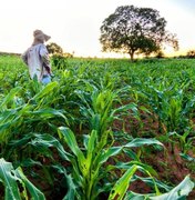 Governador encaminha à ALE projetos de lei que beneficiam a agricultura familiar no estado