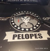 Polícia apreende arma de fogo em Messias e recupera veículos roubados