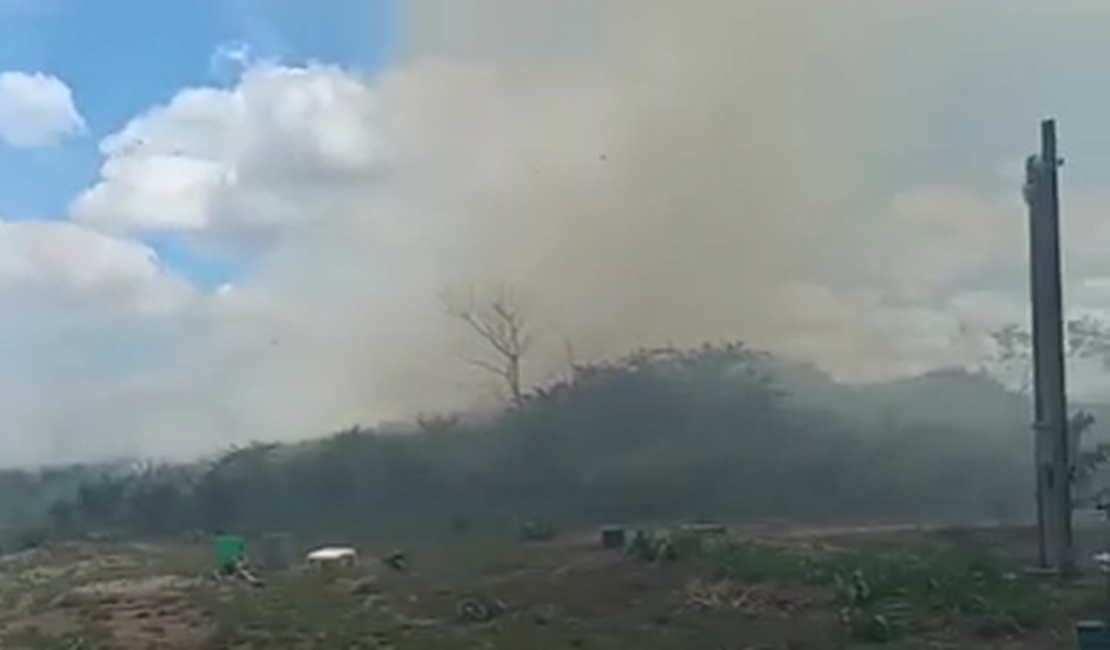 Vegetação pega fogo e chamas se alastram em terreno na região do Distrito Industrial de Arapiraca