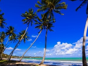 Alagoas ganha portal de Turismo