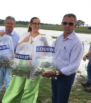 Prefeitura e Codevasf realizam peixamento com mais de 35 mil alevinos em Lagoa da Canoa