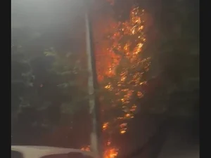 Incêndio em vegetação mobiliza Corpo de Bombeiros na Avenida Governador Afrânio Lages, em Maceió