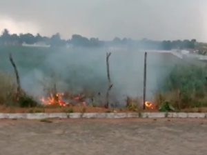 [Vídeo] Queda de fios de rede elétrica provoca incêndio em vegetação perto de residencial em Arapiraca