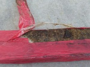 Após denúncia anônima, PM apreende drogas em área verde do Benedito Bentes