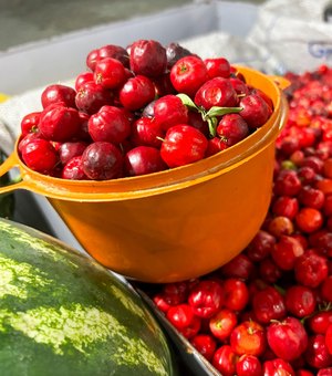 Maragogi recebe etapa Região Norte do Circuito Regional de Feiras da Agricultura Familiar