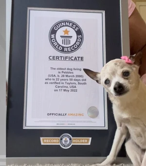 Com 22 anos, cachorra dos EUA recebe o título de mais velha do mundo pelo Guinness