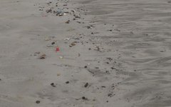 Lixo se espalha pela areia da praia de Maragogi