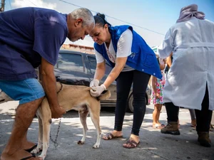 Prefeitura de Maceió vacina mais de 90 mil animais durante campanha antirrábica