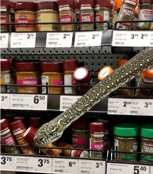 Mulher encontra cobra em prateleira de supermercado na Austrália
