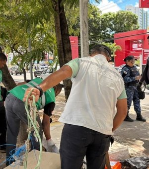 Prefeitura de Maceió remove construções irregulares no Farol e Mangabeiras