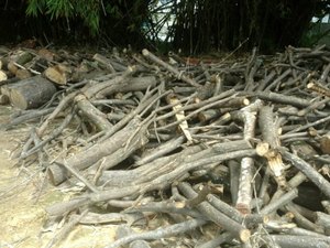 Secretaria multa condomínio e padaria por crime ambiental