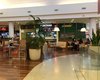 Confira o que abre e o que fecha em Maceió e em Arapiraca no Dia de São João