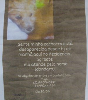 Família arapiraquense pede ajuda para encontrar cachorrinha desaparecida