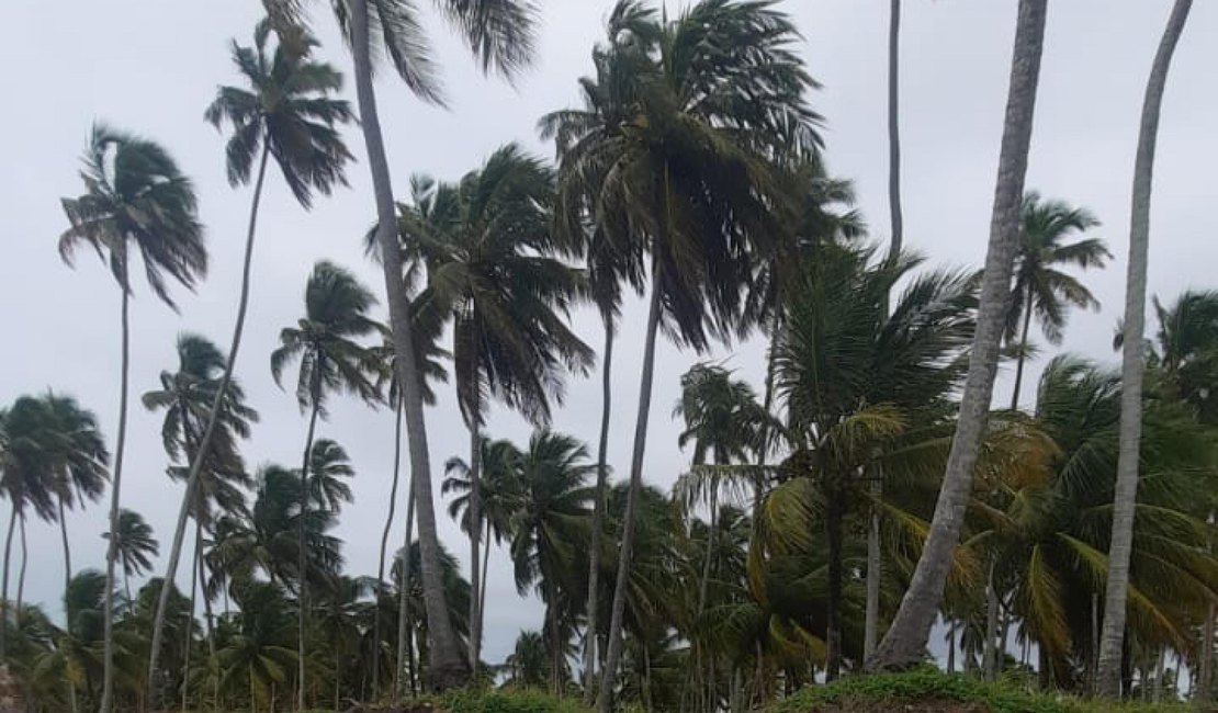 Defesa Civil de Alagoas reforça alerta de ventos fortes para os próximos dias