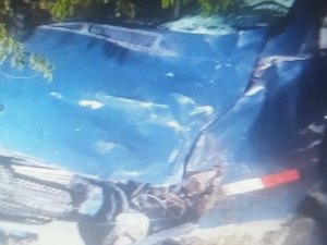 Cavalo é atropelado por van lotada com pacientes de Pernambuco no Sertão de Alagoas