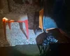 Homem é preso após cachorro ser encontrado com focinho amarrado em Maceió