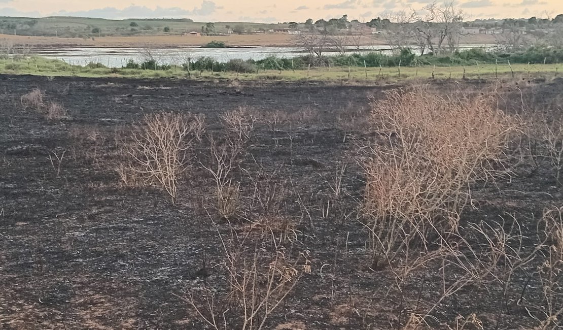 [Vídeo] Incêndio que deixou Arapiraca coberta por fumaça teve início na zona rural de Lagoa da Canoa