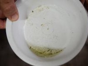 Campanha contra a dengue tem Dia D por todo o país