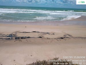 Manchas de óleo deixaram lições de preservação ao meio ambiente em Alagoas