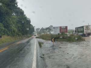 Queda de árvore interdita parcialmente trecho da BR-101, em Rio Largo