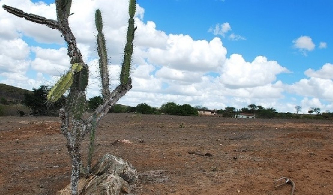 Audiência pública vai discutir ações de enfrentamento à seca em Palmeira dos Índios
