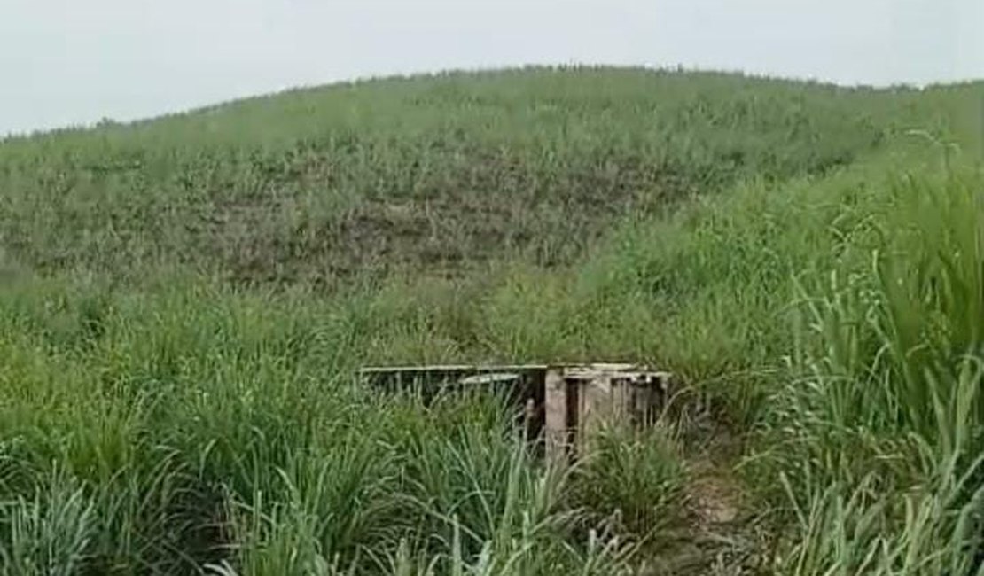 Caminhão coletor de lixo tomba às margens da rodovia AL-105 em Porto Calvo