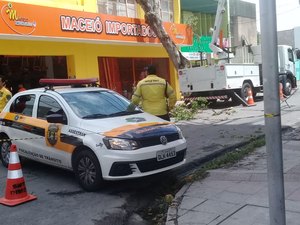 Trânsito é interditado para retirada de árvore no Centro de Maceió 