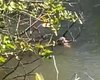 Corpo é encontrado em rio no povoado Santa Luzia, na Barra de Santo Antônio