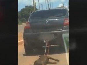 Cachorro amarrado em reboque é arrastado por carro em rua no DF