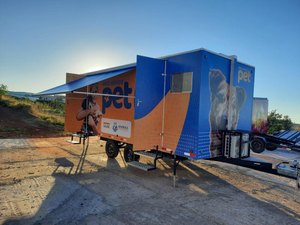 Prefeitura de Arapiraca realiza primeira triagem para castração gratuita de animais