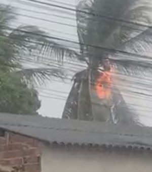 Raio atinge coqueiro e provoca incêndio durante forte chuva em Arapiraca