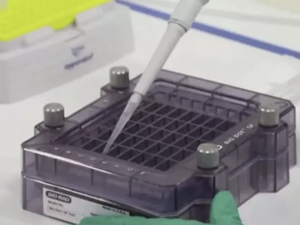 Cientistas britânicos testam medicamento para prevenir infecção por coronavírus